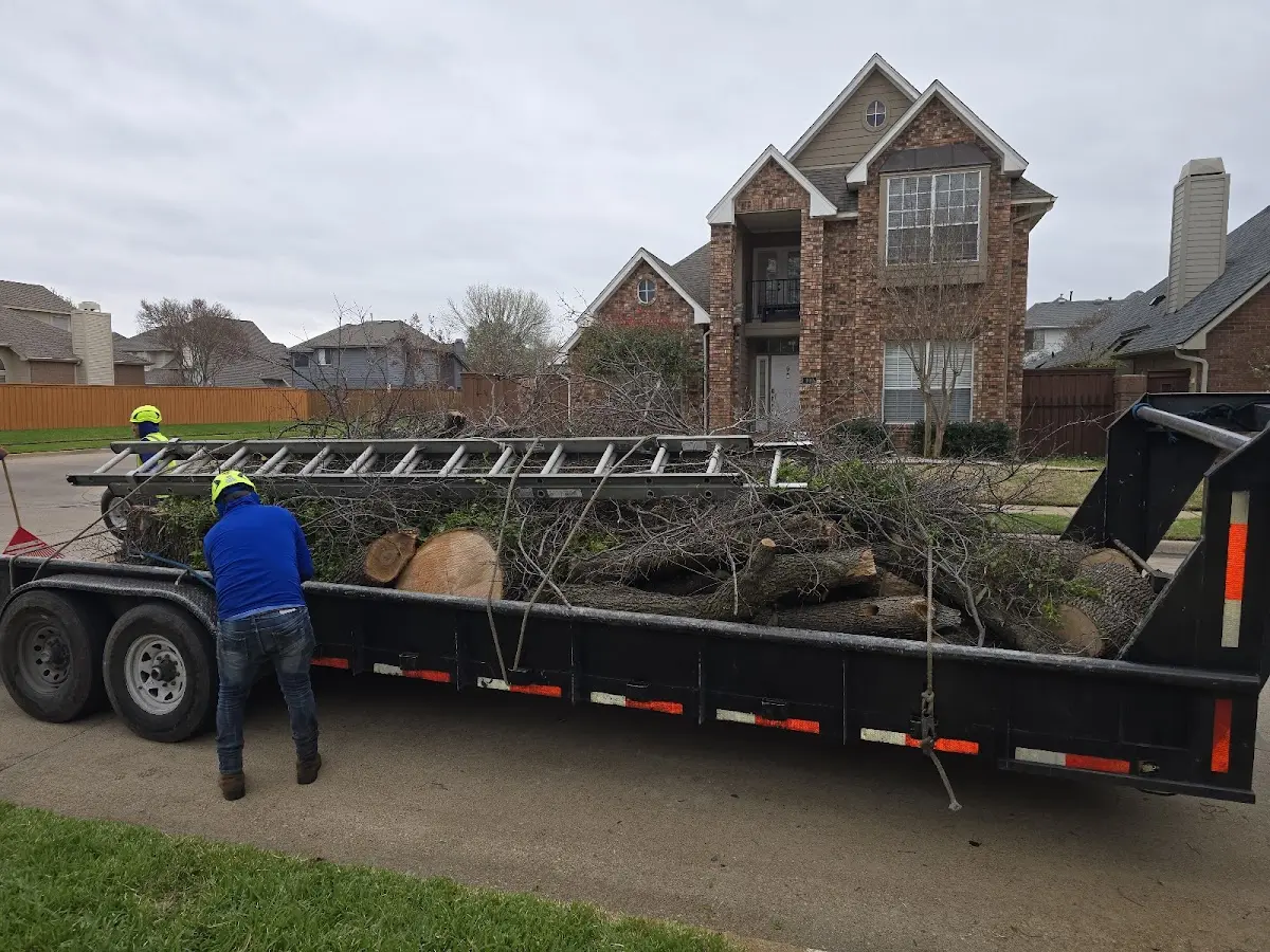 Expert Tree Fertilization with proper safety equipment in Middleton